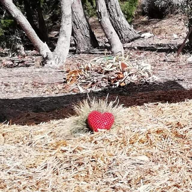 Travelling Heart