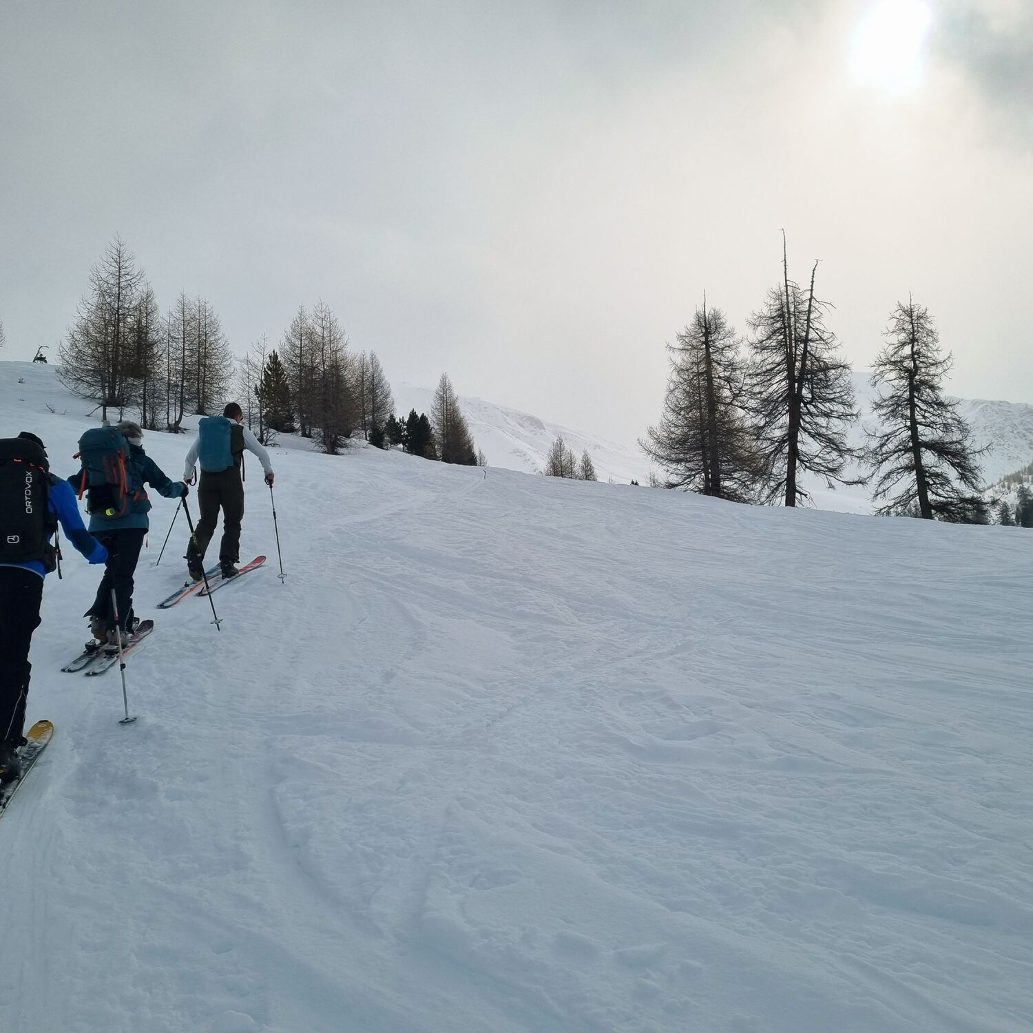 Skitourenwoche Bernina