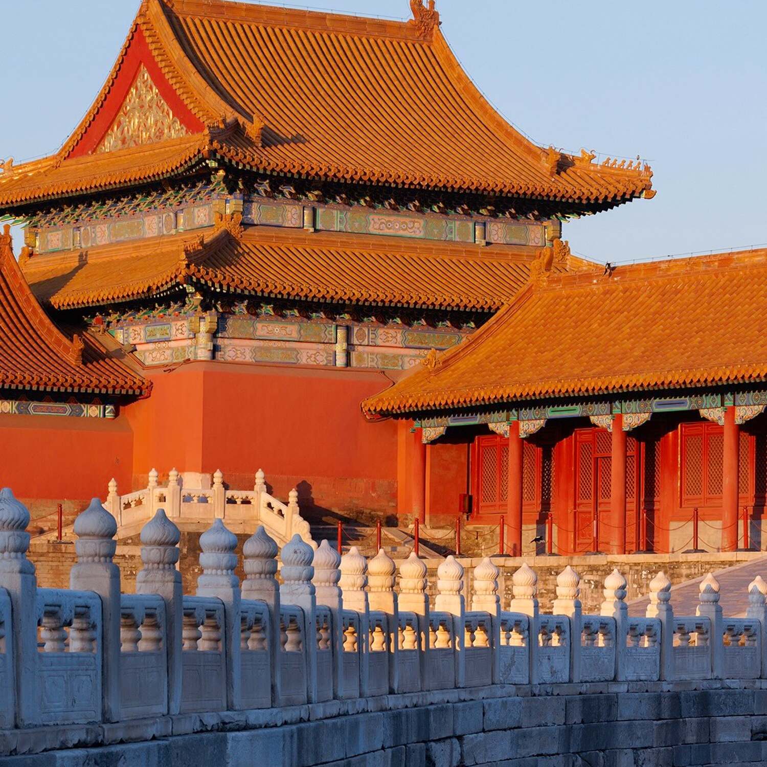 Cina 🇨🇳
