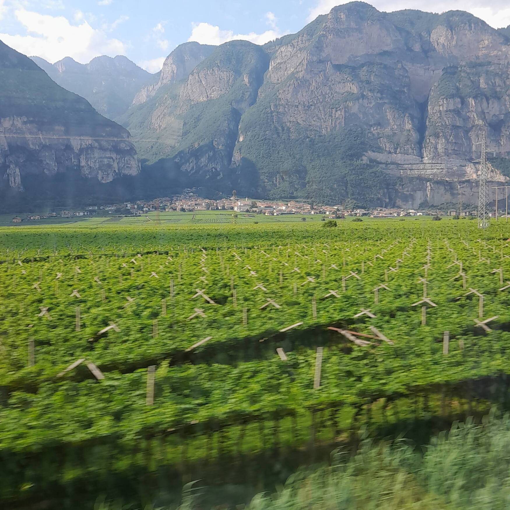 Alto Adige - Estate23