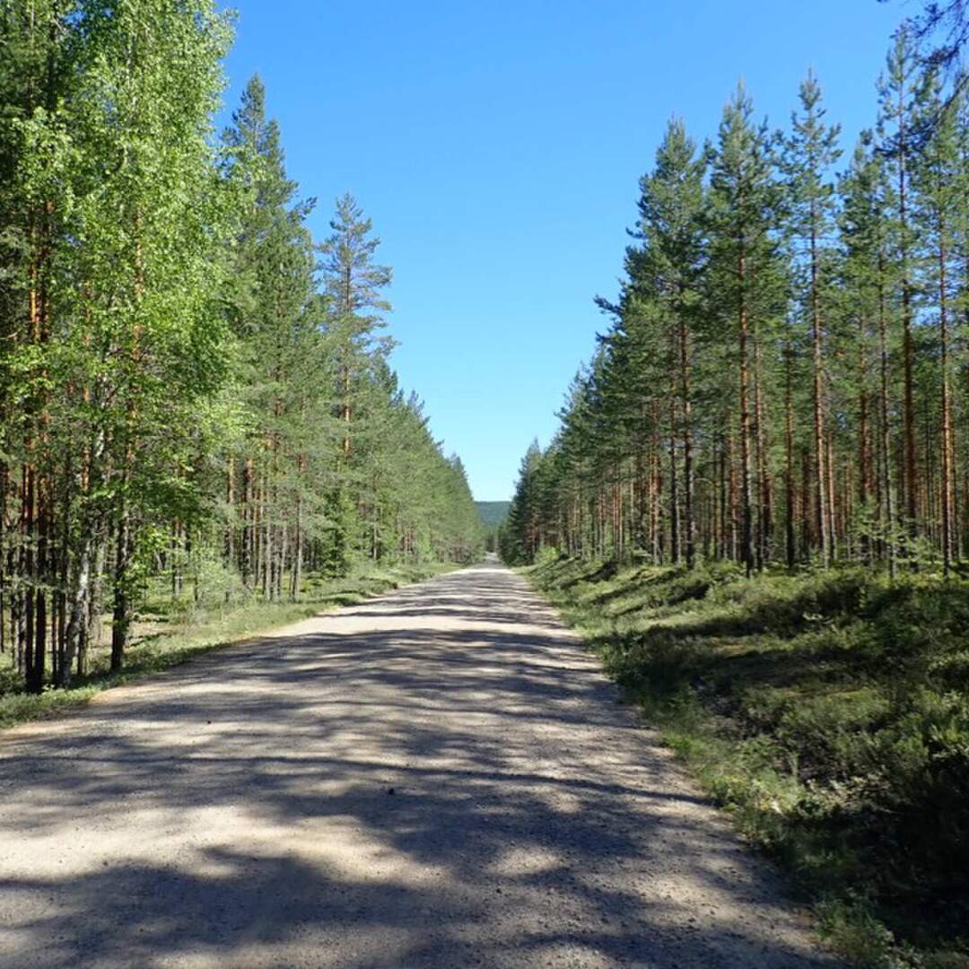 Mit dem Moped zum Nordkap