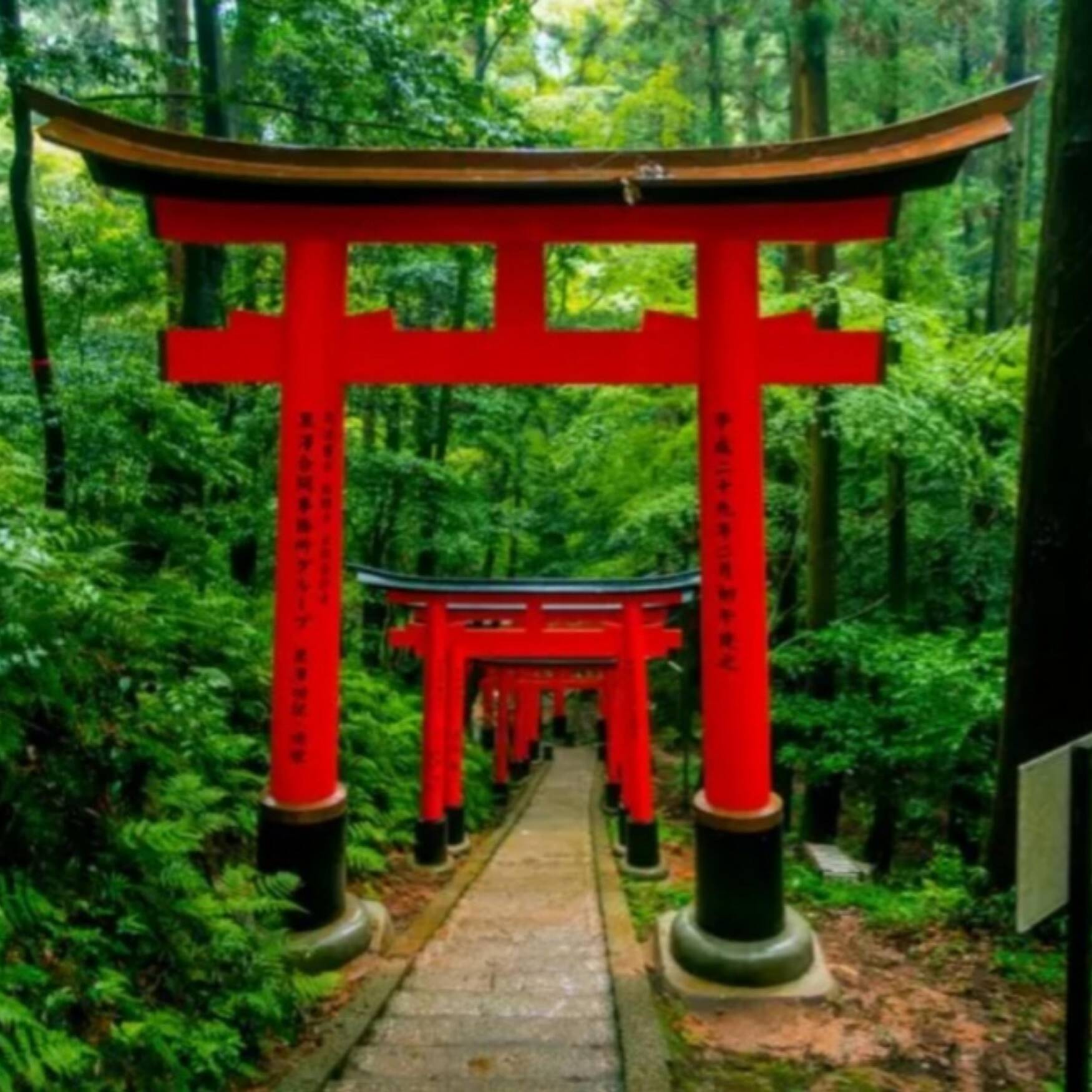 Japon 2023