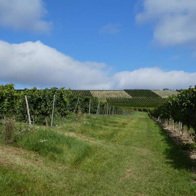 Hiwweltour Zornheimer Berg