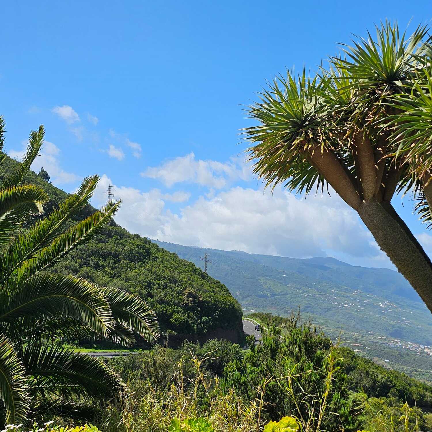 West Canary Islands 2025