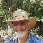 Ron Green