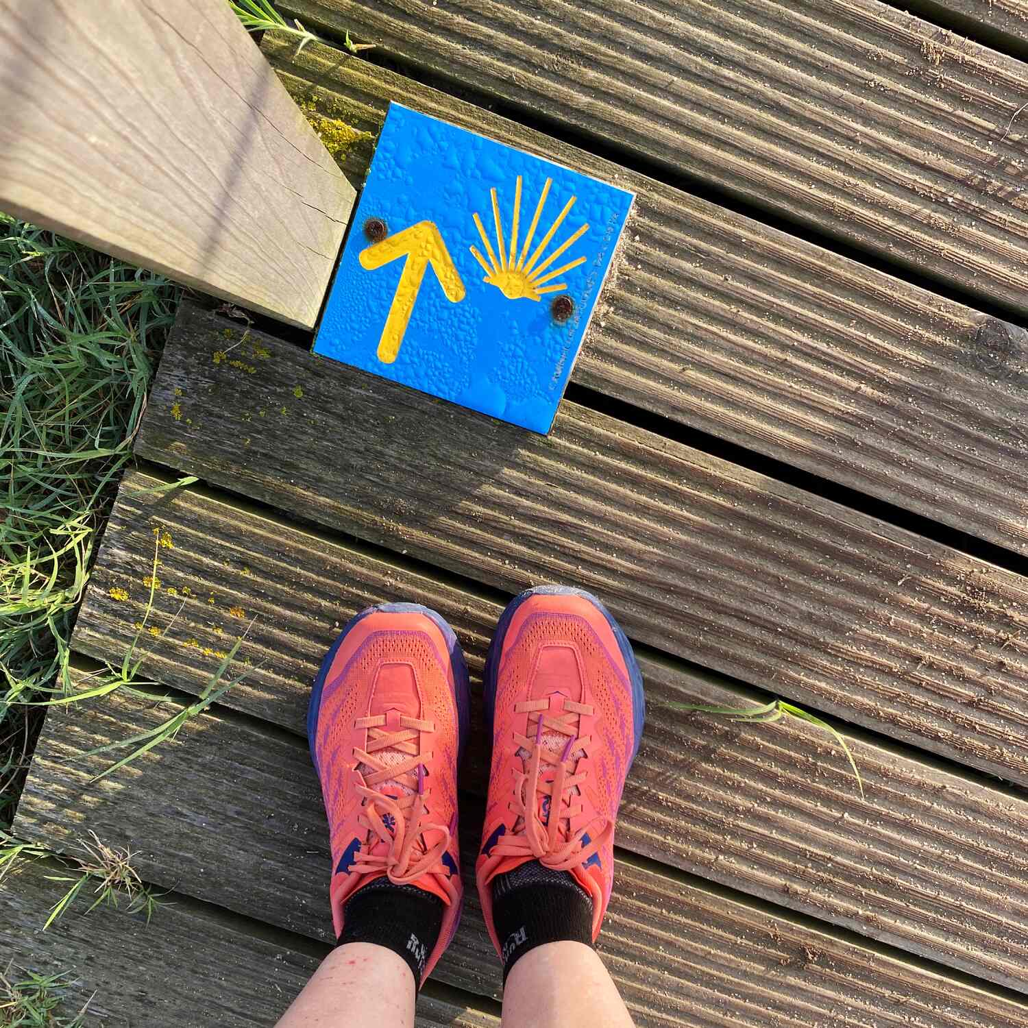 CAMINO PORTUGUÉS DE LA COSTA