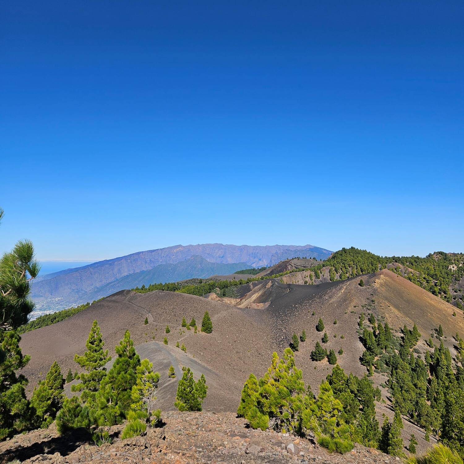 La Palma