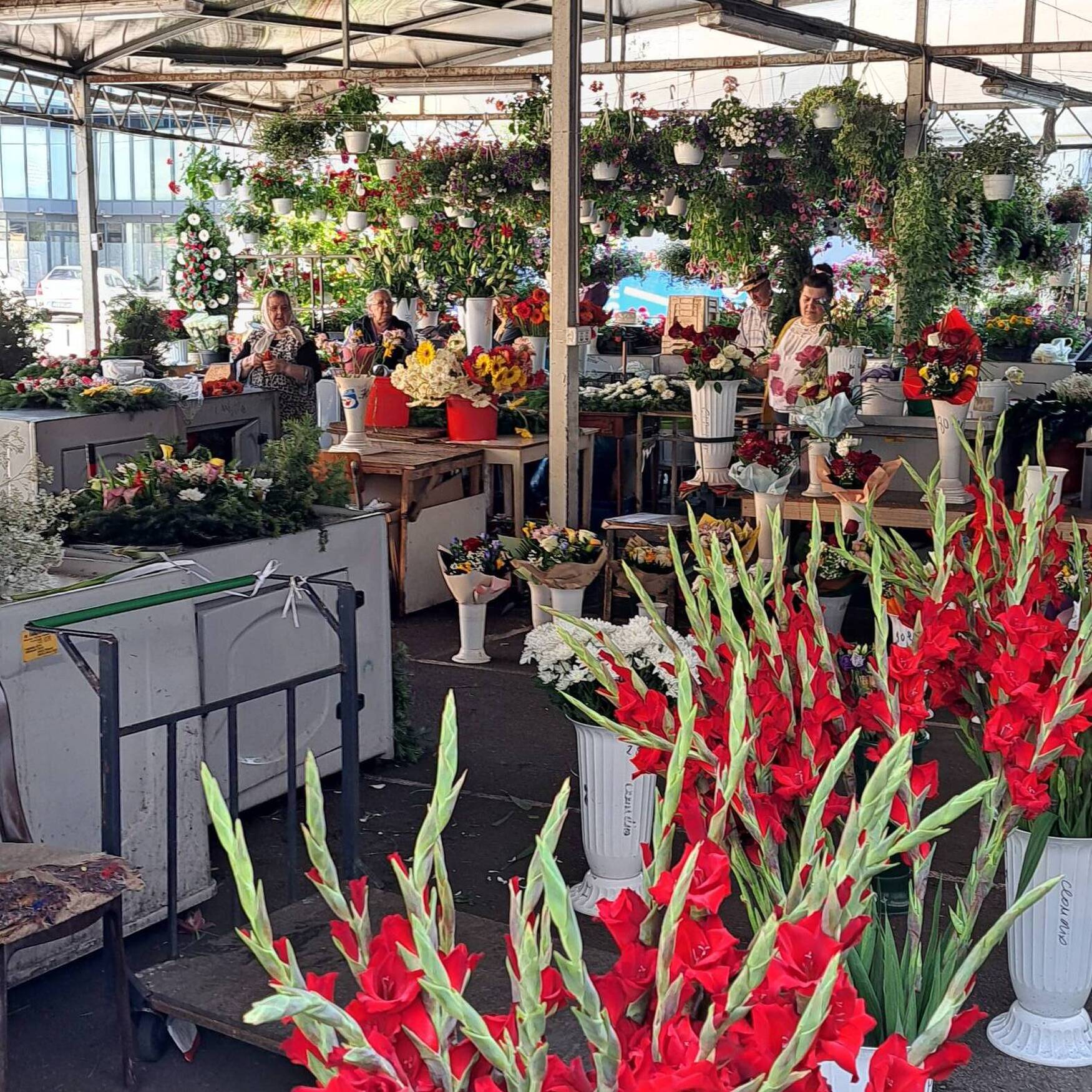 Kurztrip nach Klausenburg.