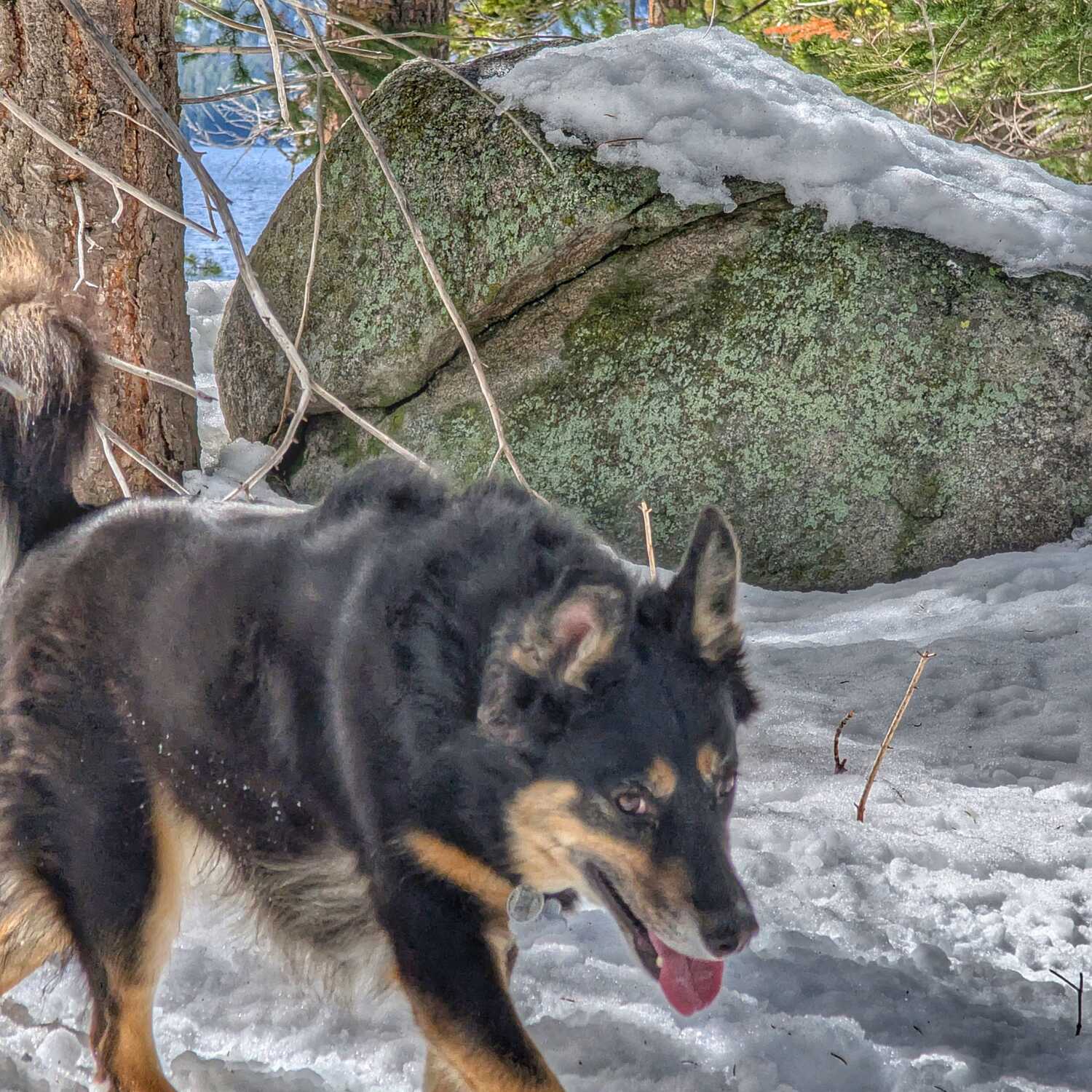 Kirkwood, one final time!