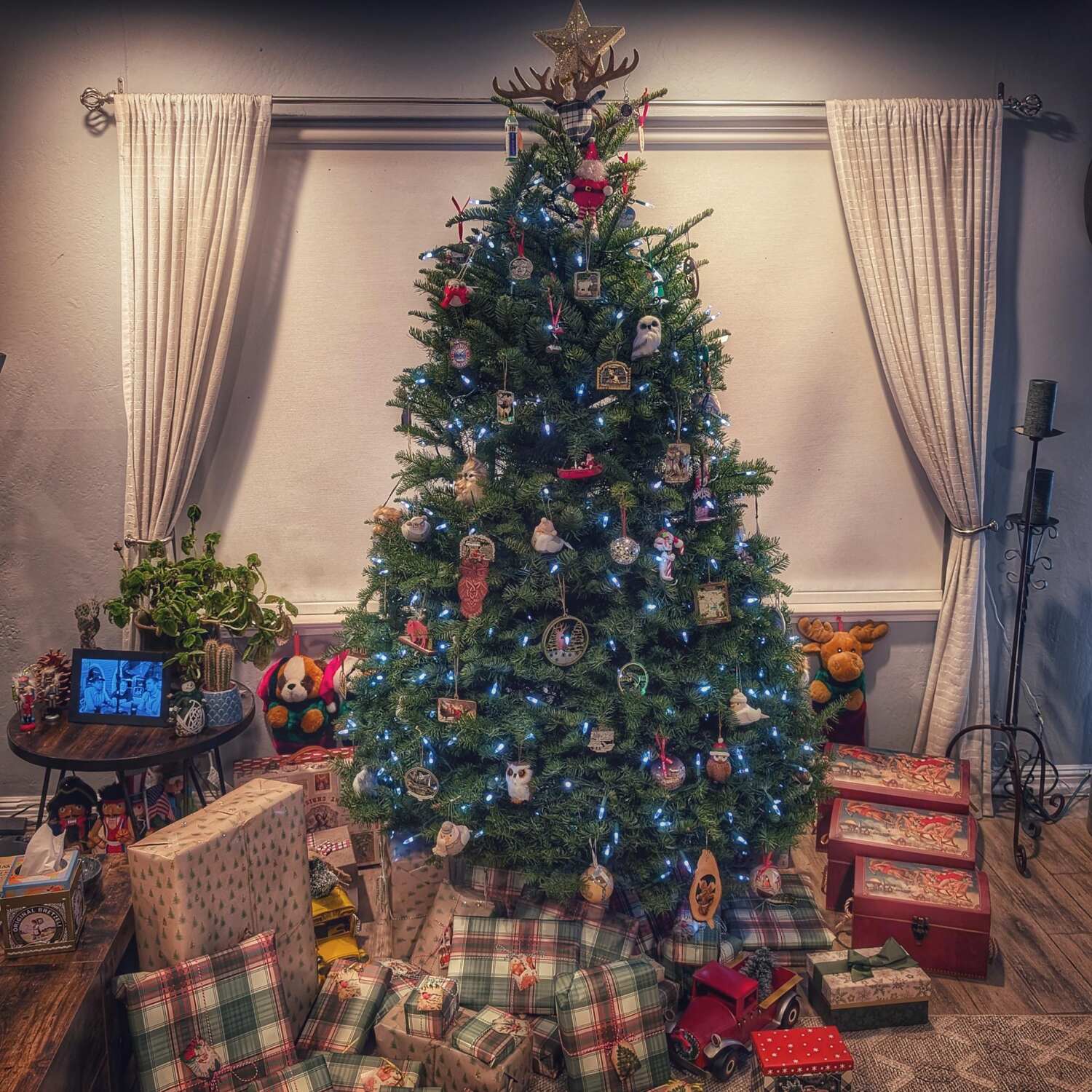 Ireland for Christmas