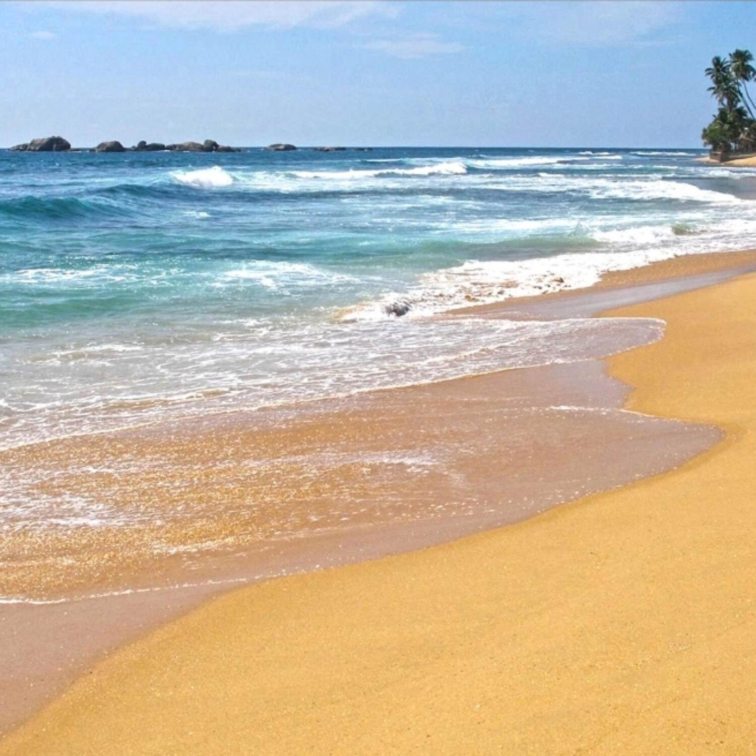 All around Sri Lanka