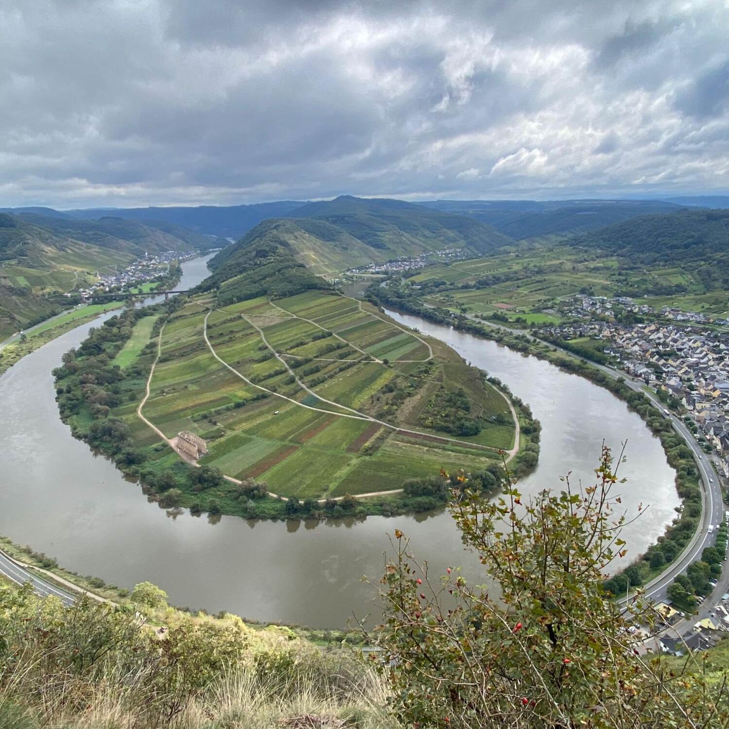 Mosel