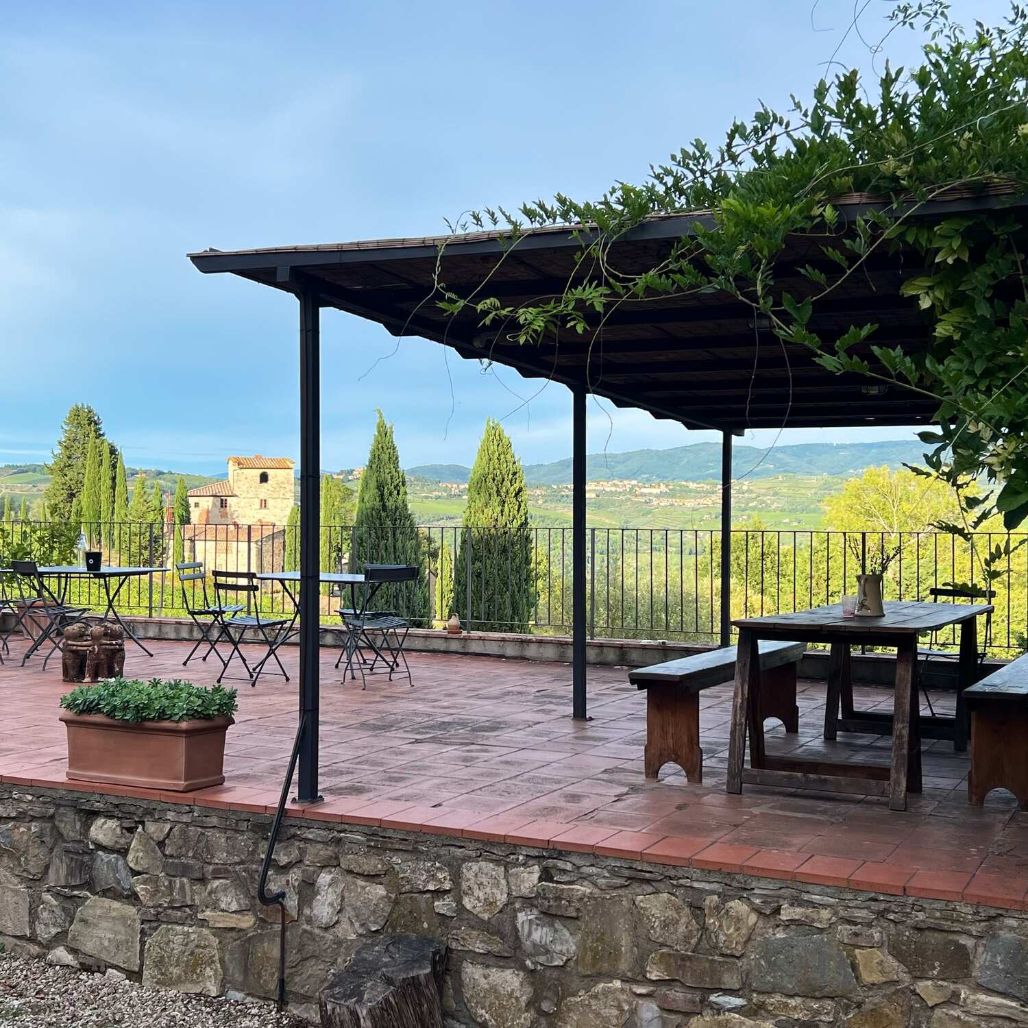 Weinlese in der Toskana 2024