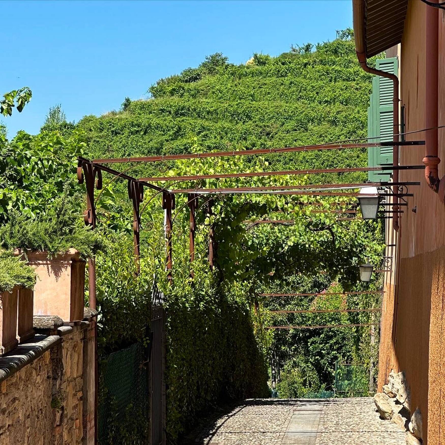Montevecchia