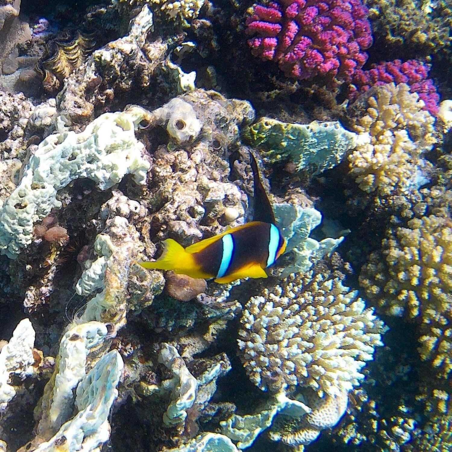 Hurghada_Makadi Bay