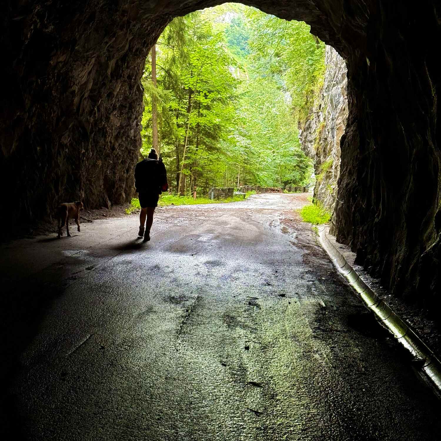 Via Spluga