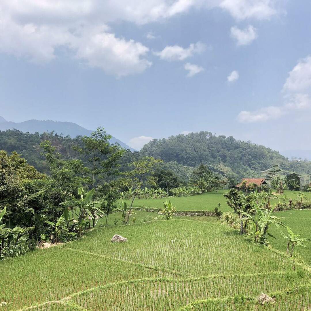 De Salak Homestay