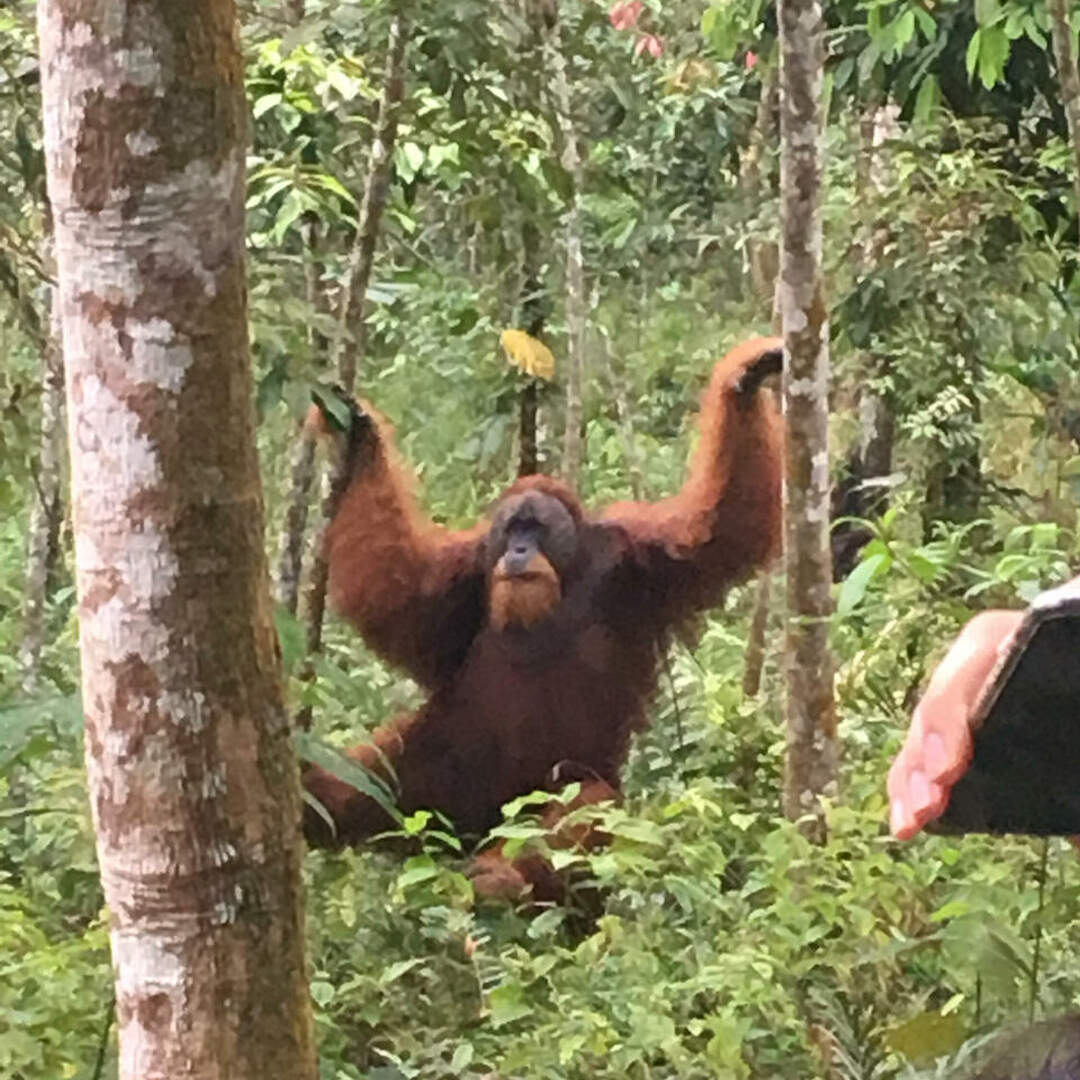 Klassenfahrt Sumatra Papa