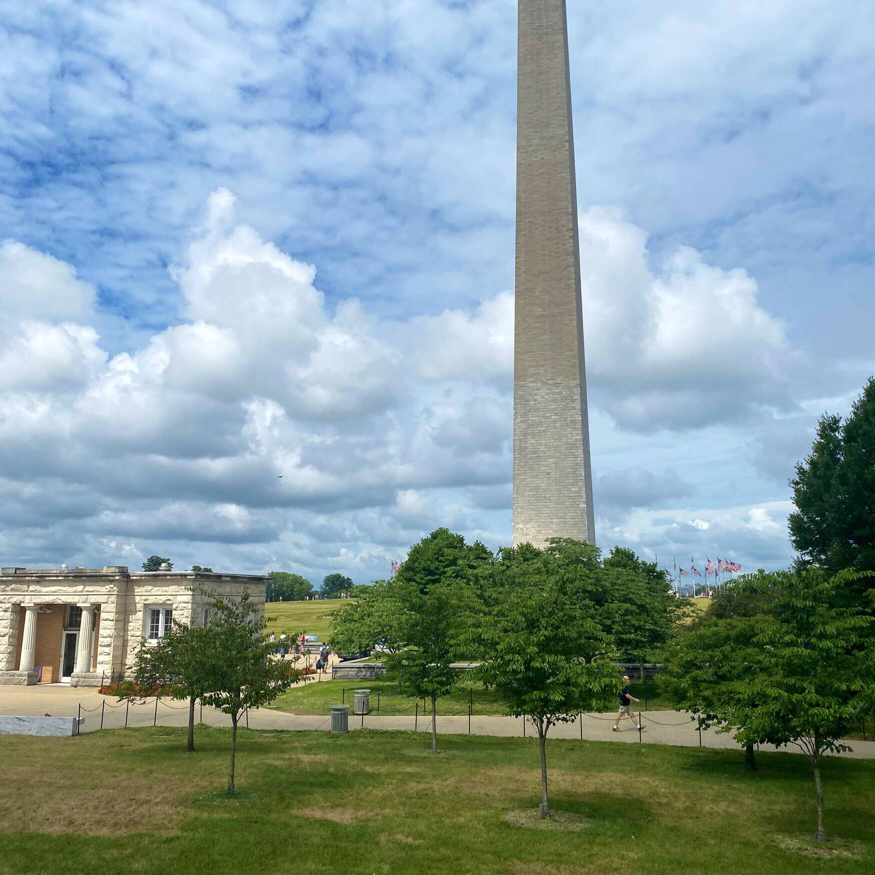 Washington DC w/ Friends