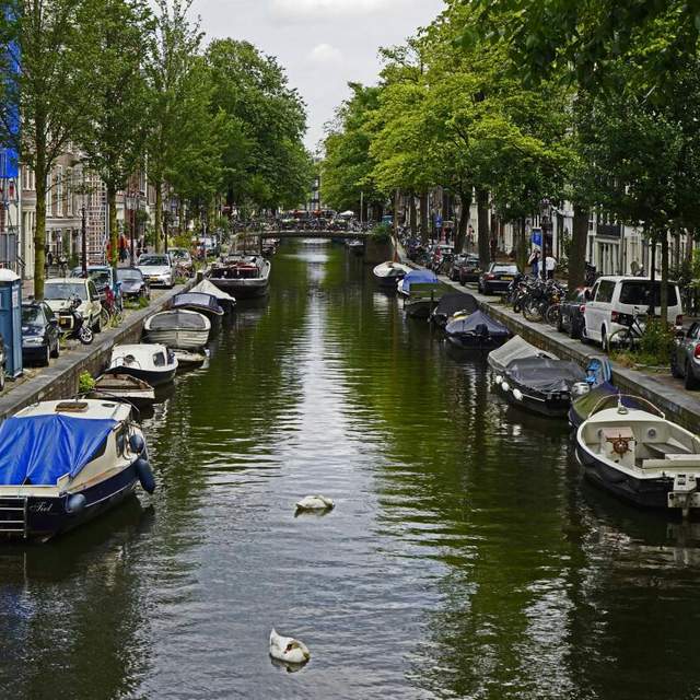 Summer in Amsterdam