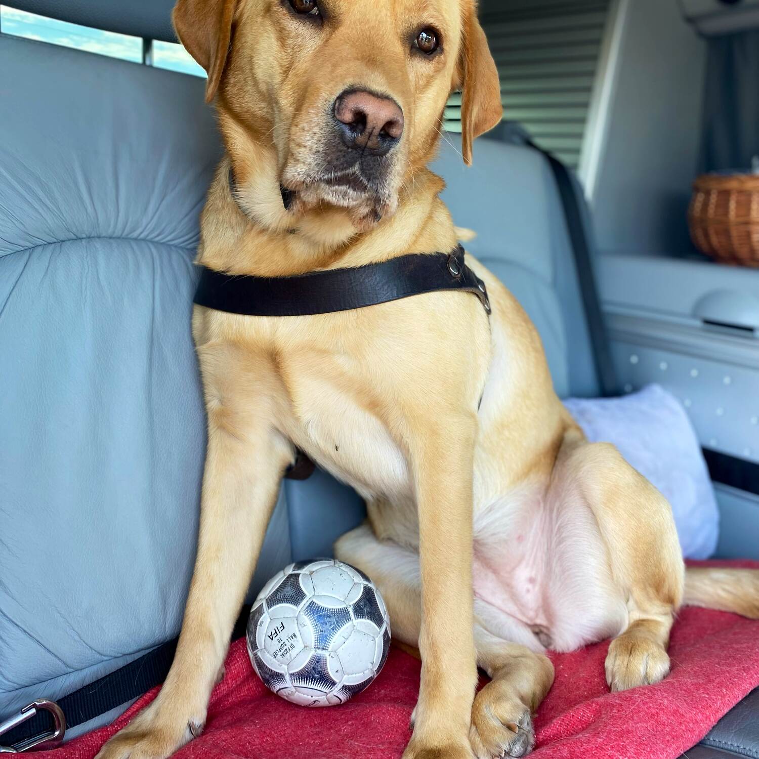 Sommertrip 🇩🇰🇸🇪 2024