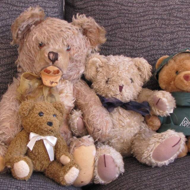 Bärenhüter
