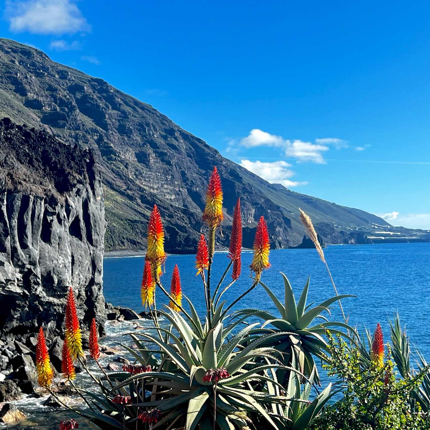 La Palma