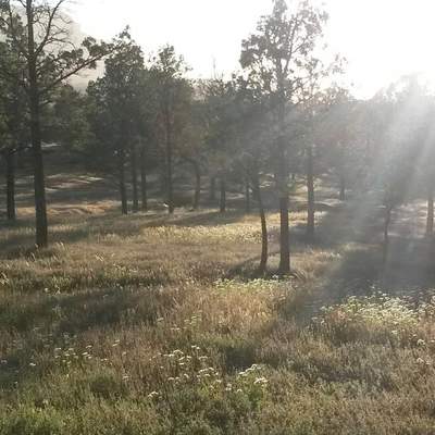 Camping in the Flinders Ranges