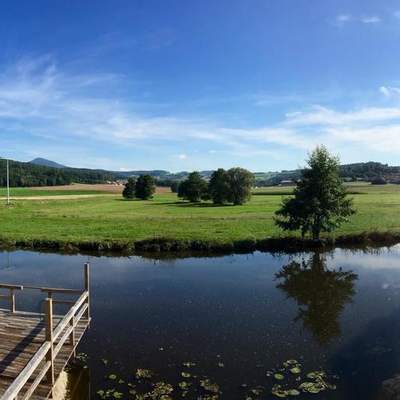 Bayerischer Wald 2016