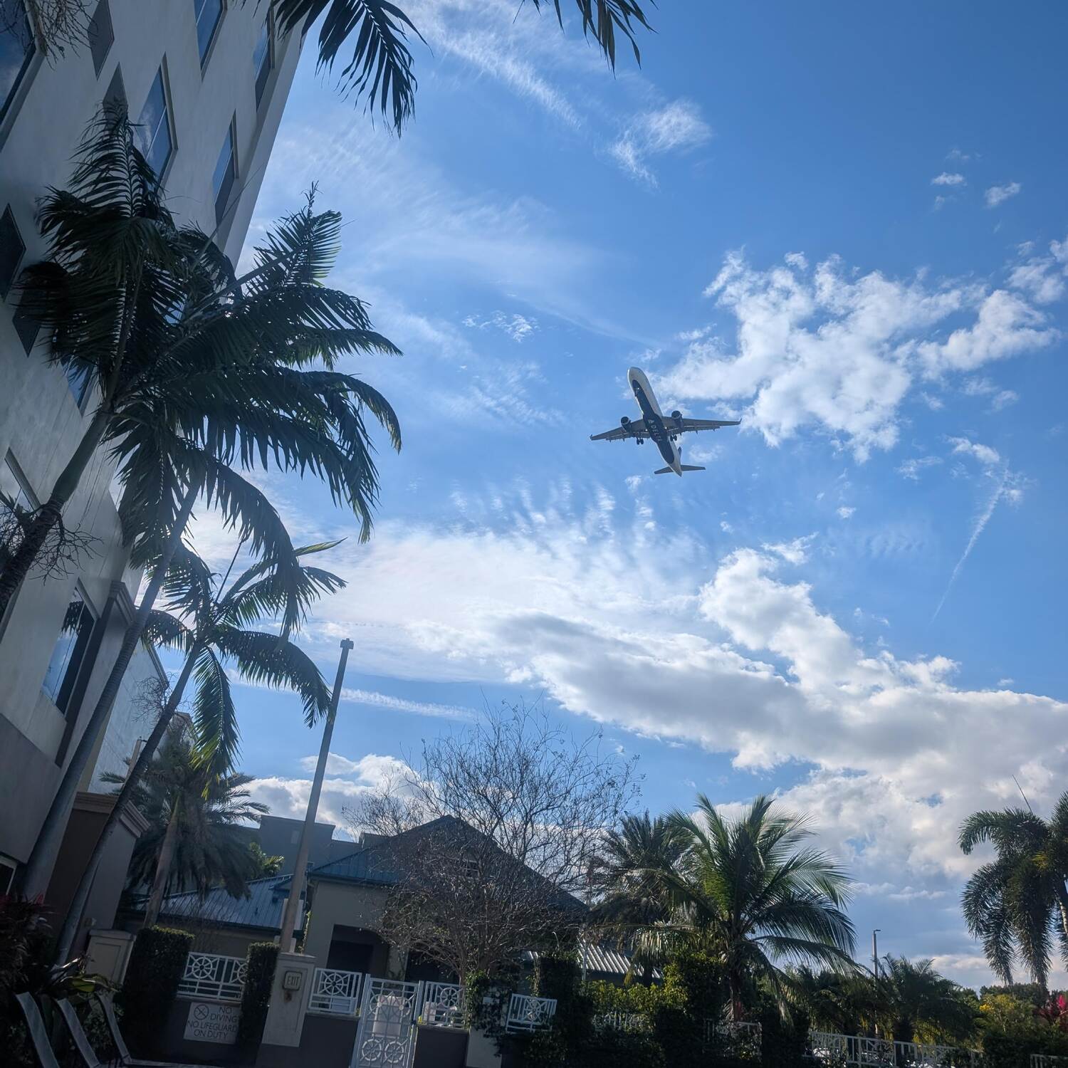 Cayamo and other travels