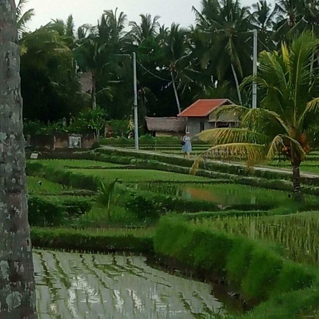 Bali