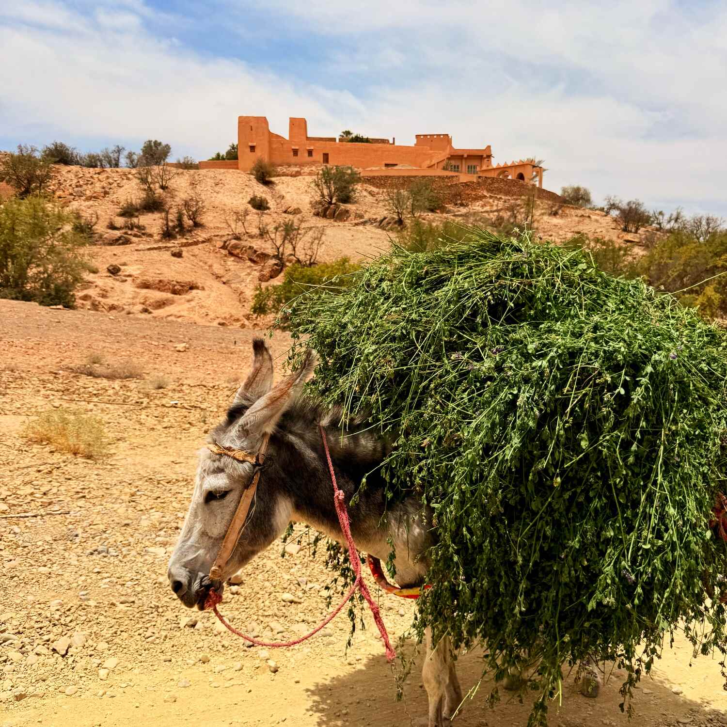 Roadtrip 🇲🇦 Marokko 2025