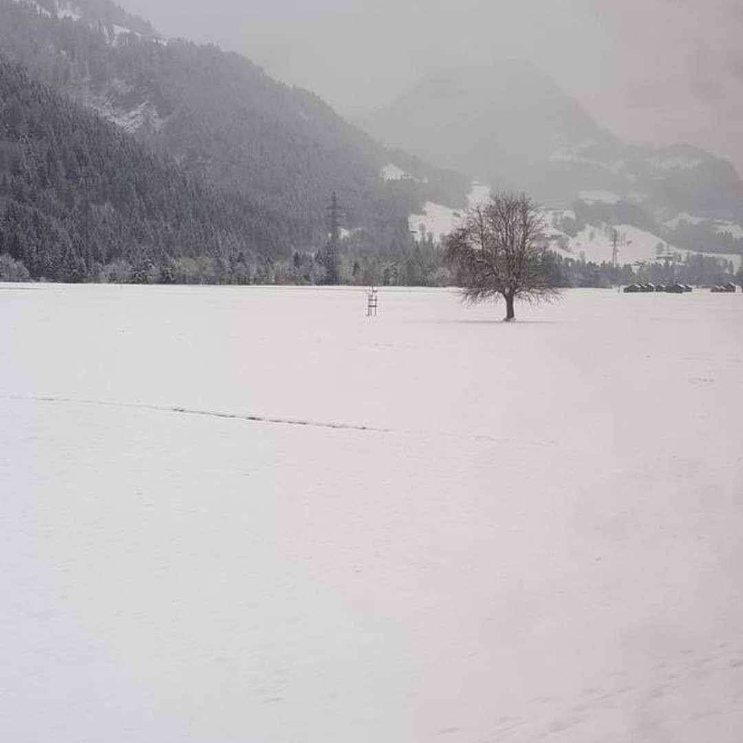 Skifahrn in St. Moritz
