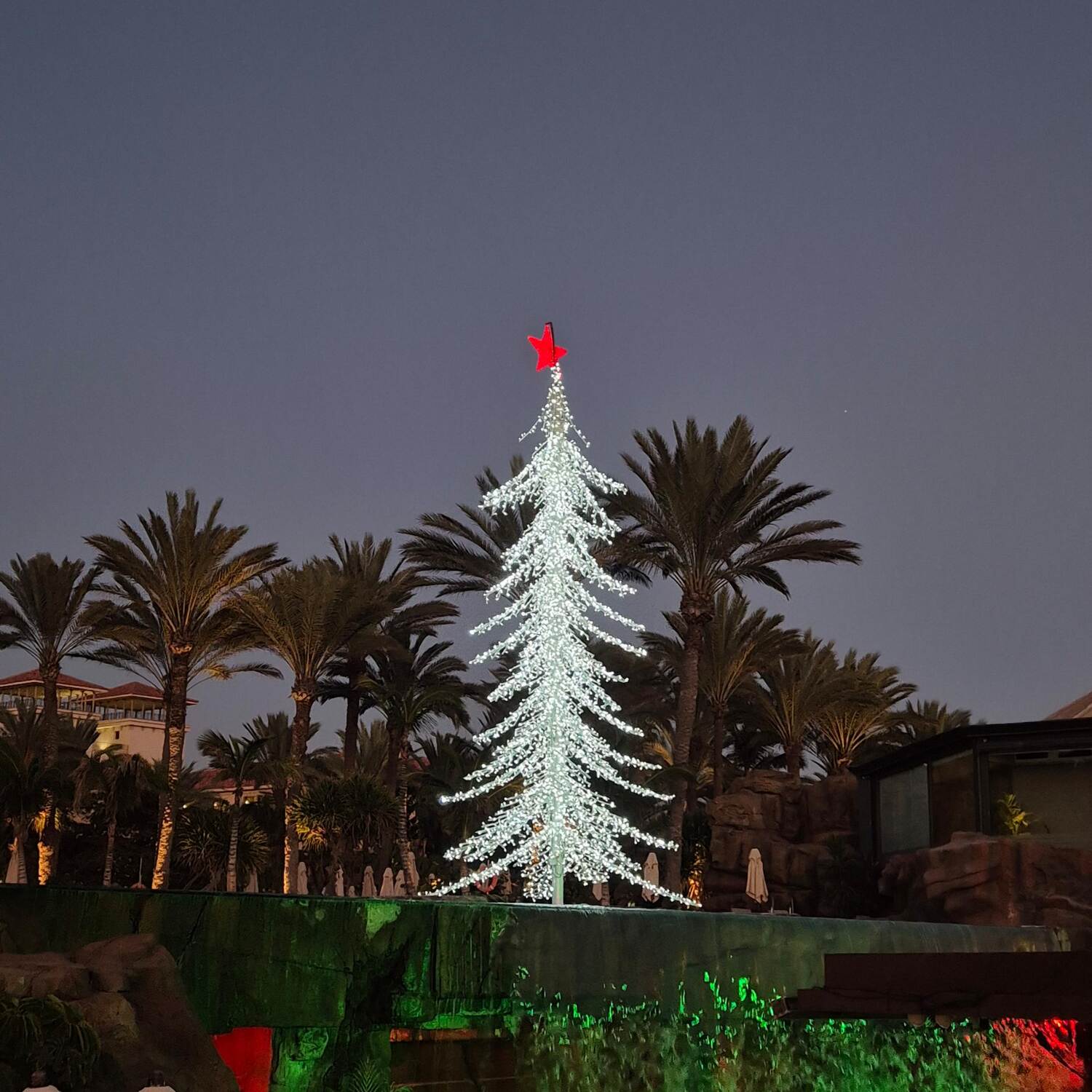 Weihnachten unter Palmen 2024