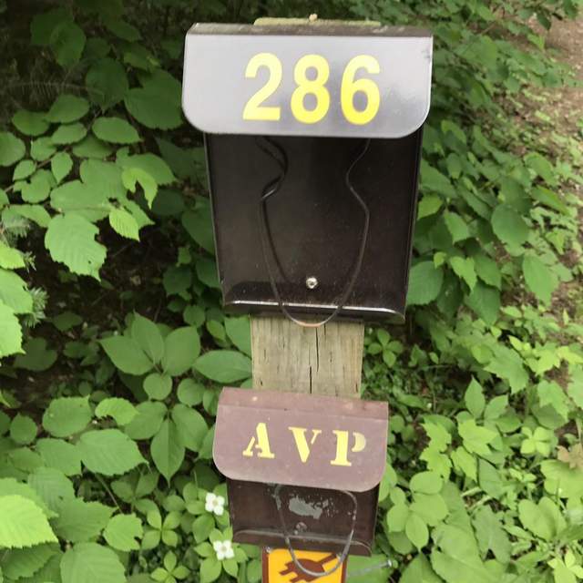 Arrowhead Provincial Park, ON
