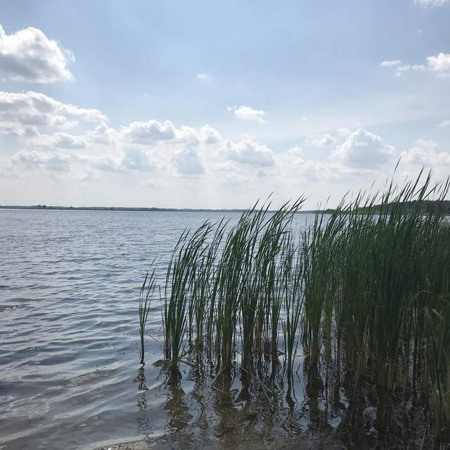 Luther Lake Wellington