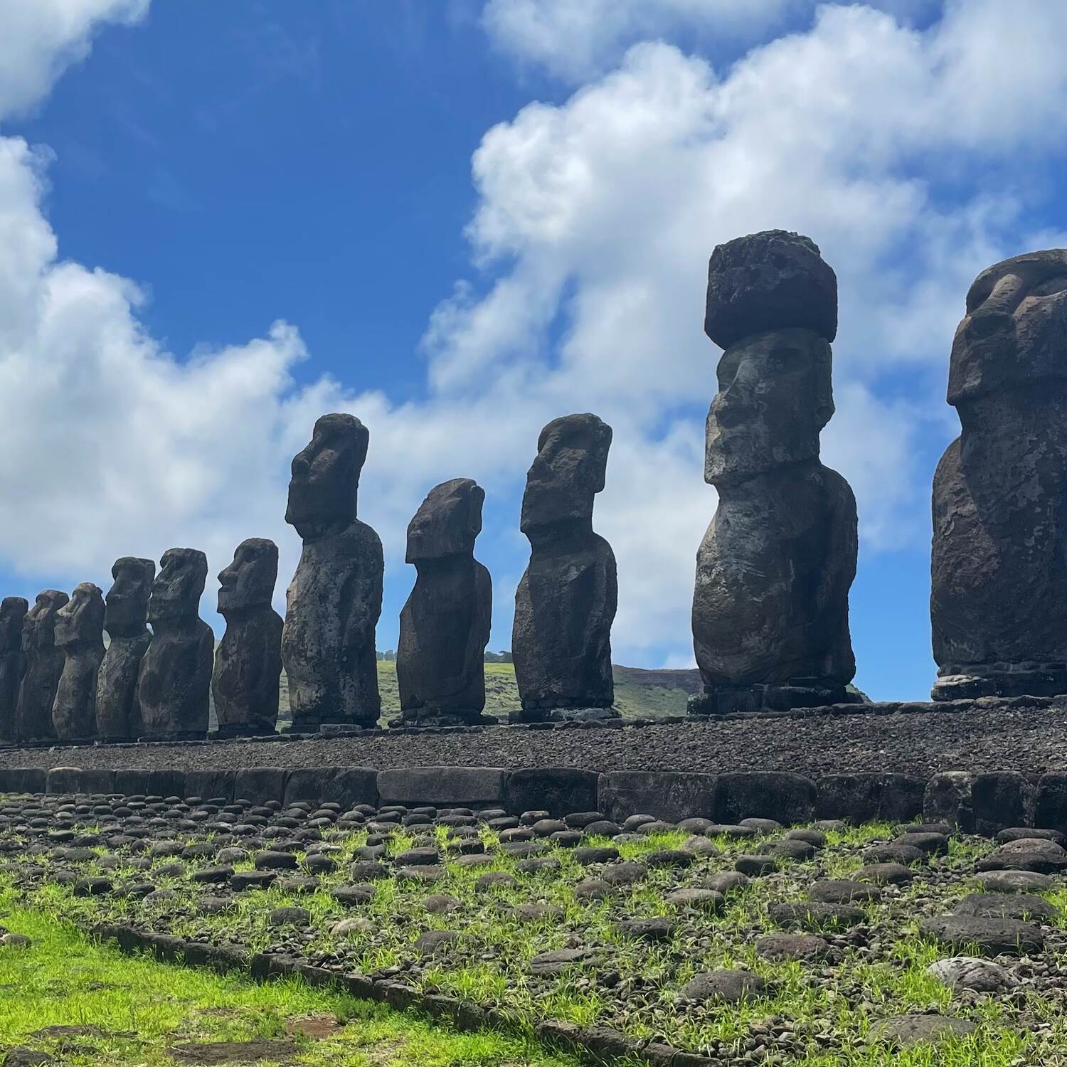The World Cruise II