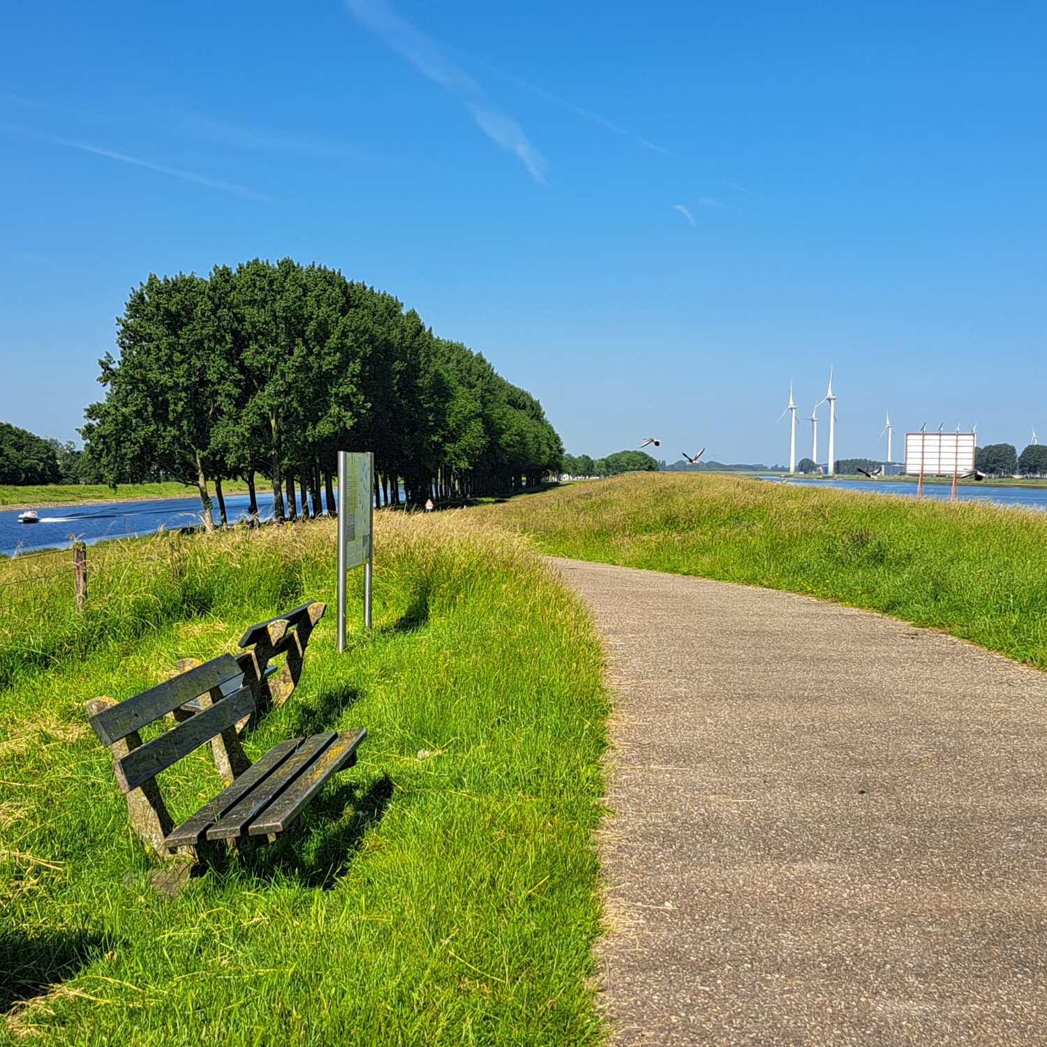 2 weken zomervakantie