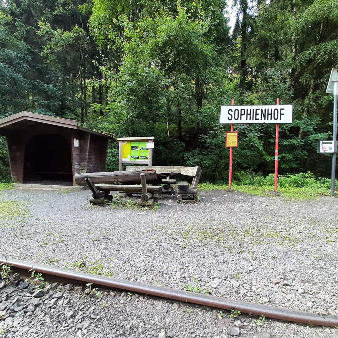 Harz 08/2021