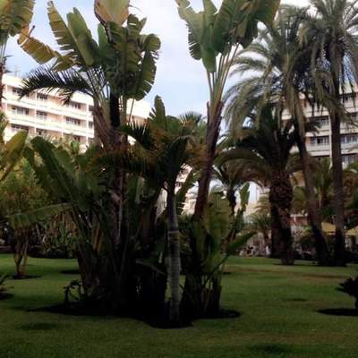 Gran Canaria