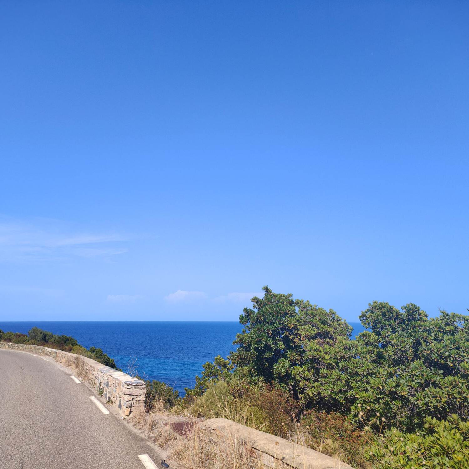 Korsika '24 🚐🏝️⛰️☀️