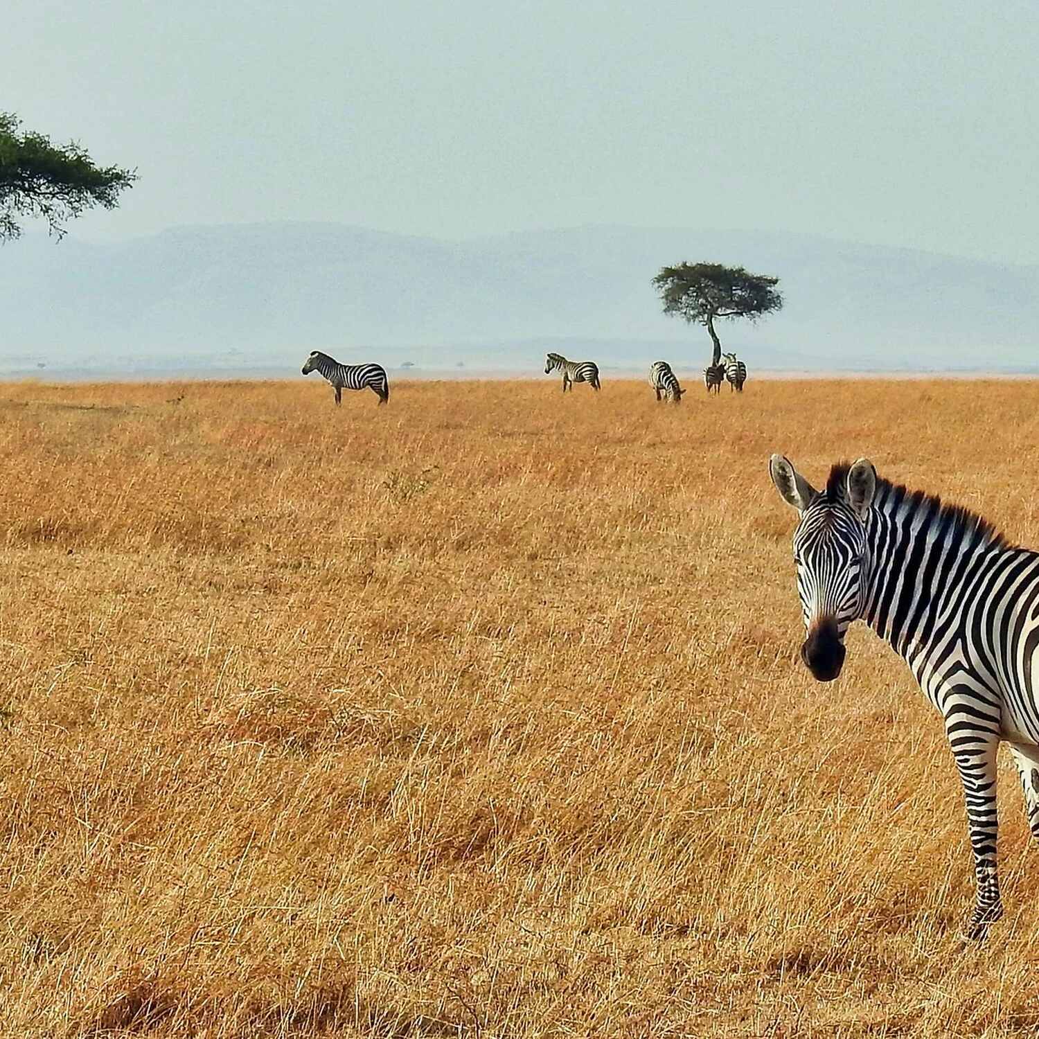 Africa Adventure