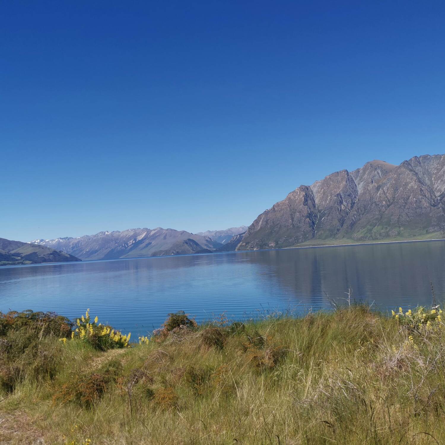 Liesbeth in Neuseeland