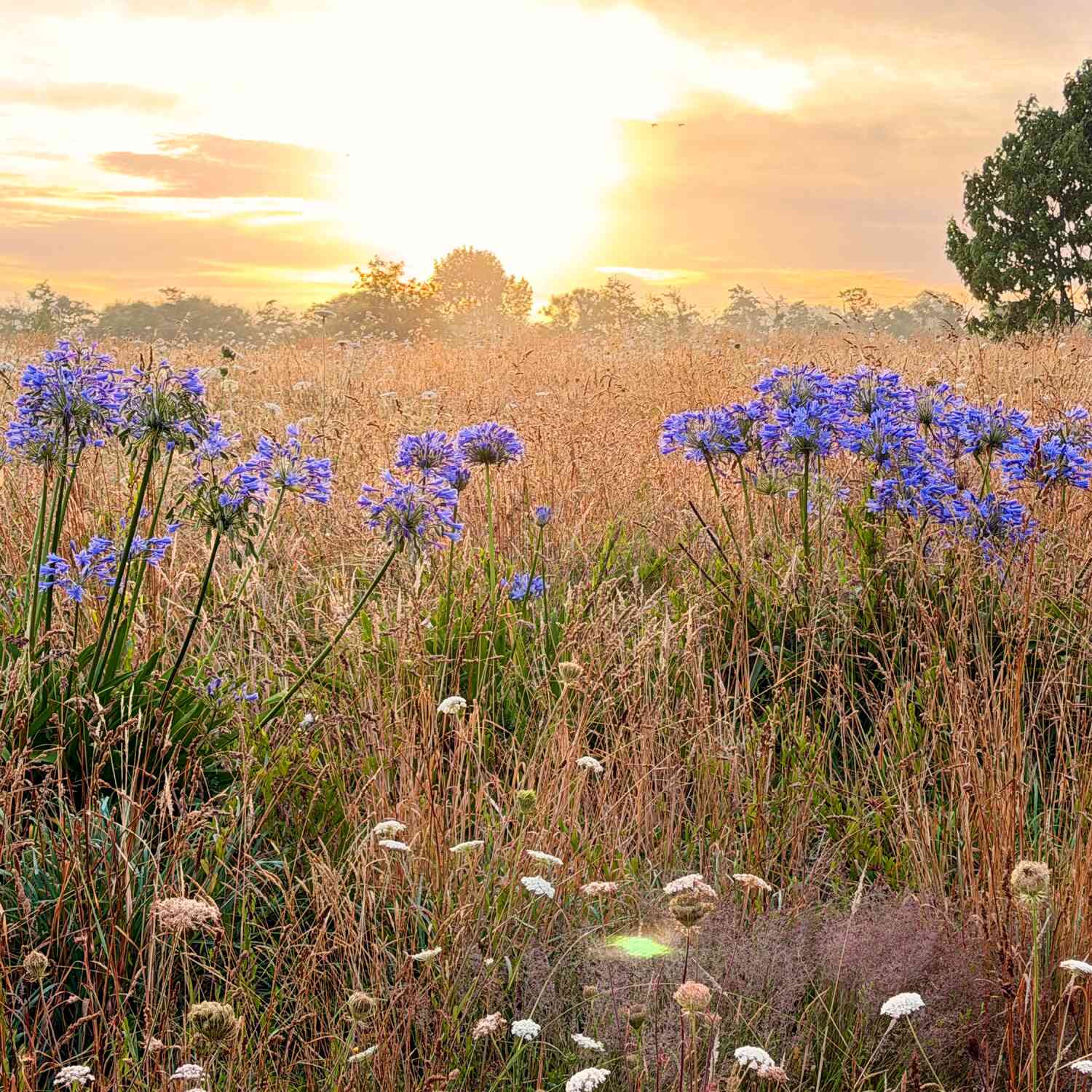 WELTREISE A+E on the way