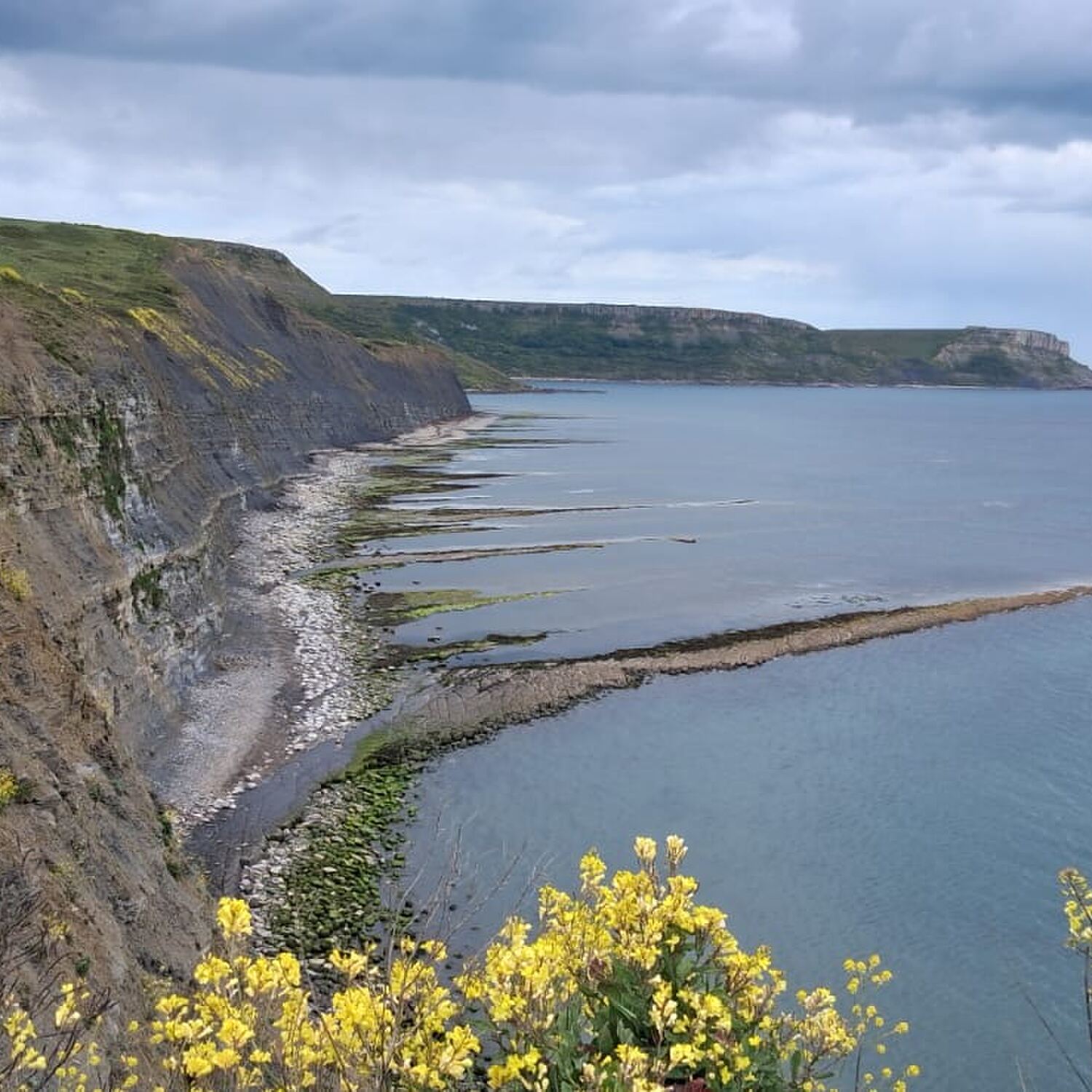 The Jurassic Coast.