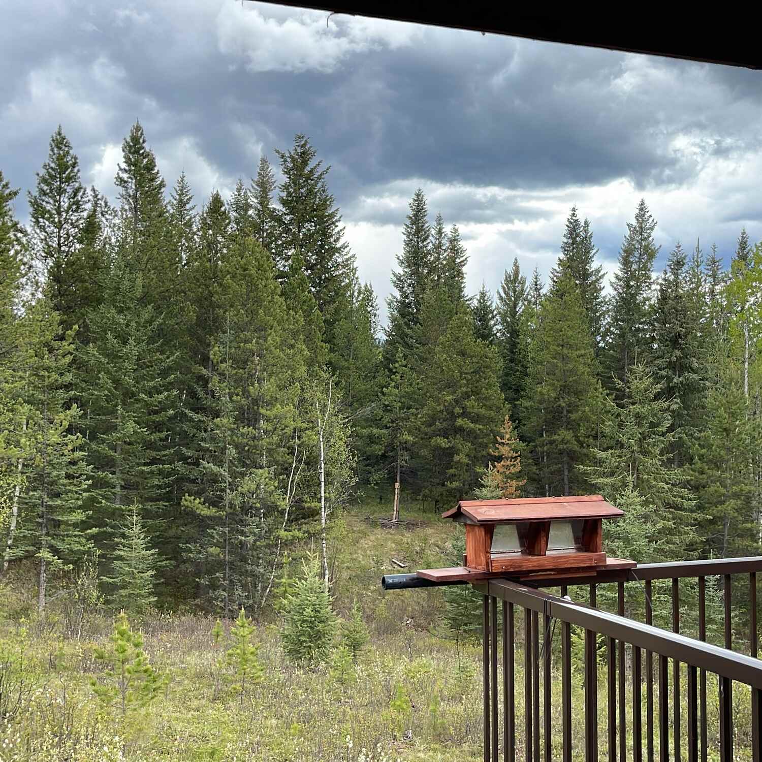 Horsefly and …. We'll see