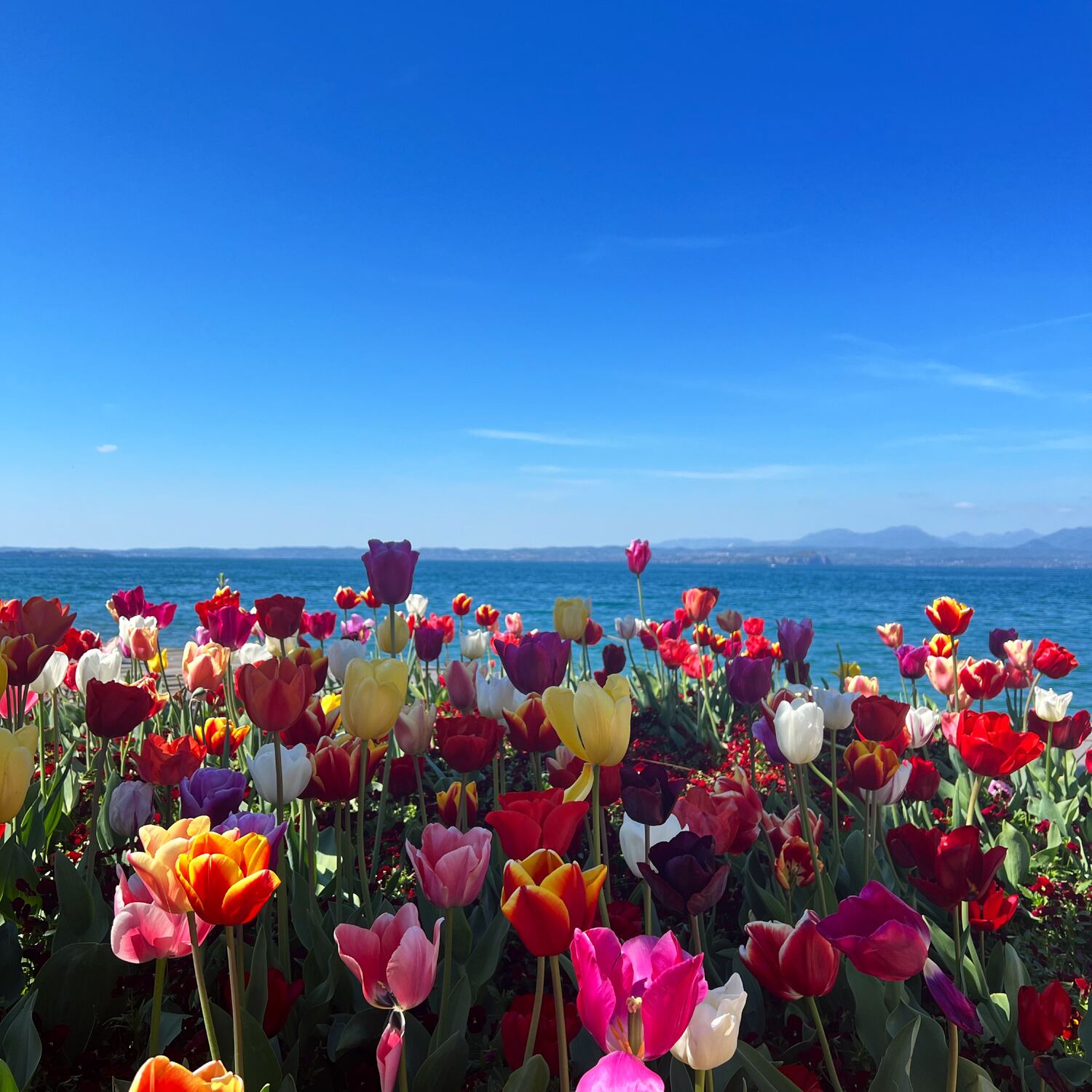Ostern am Gardasee