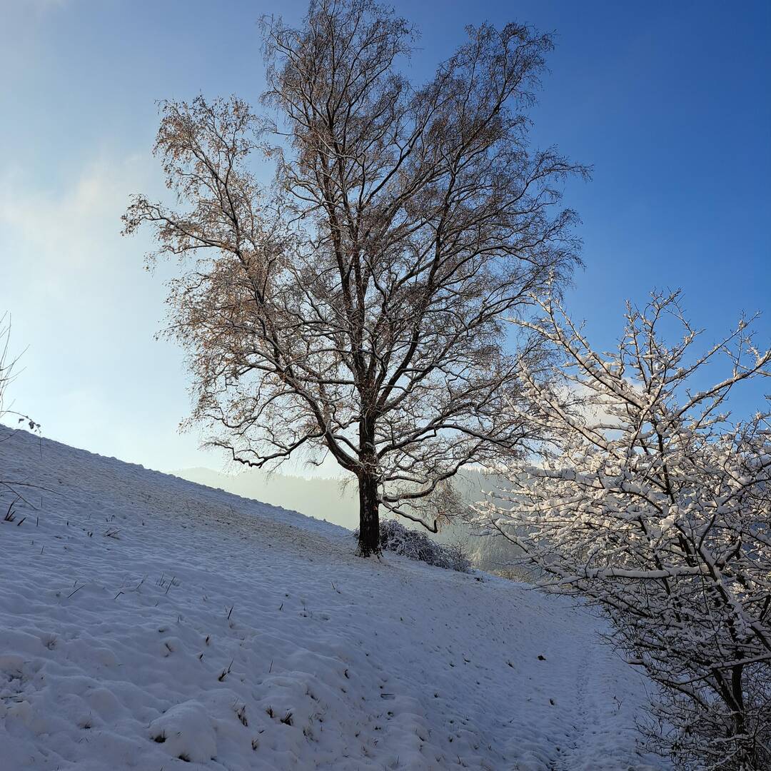 Winterfahrt nach Freiburg