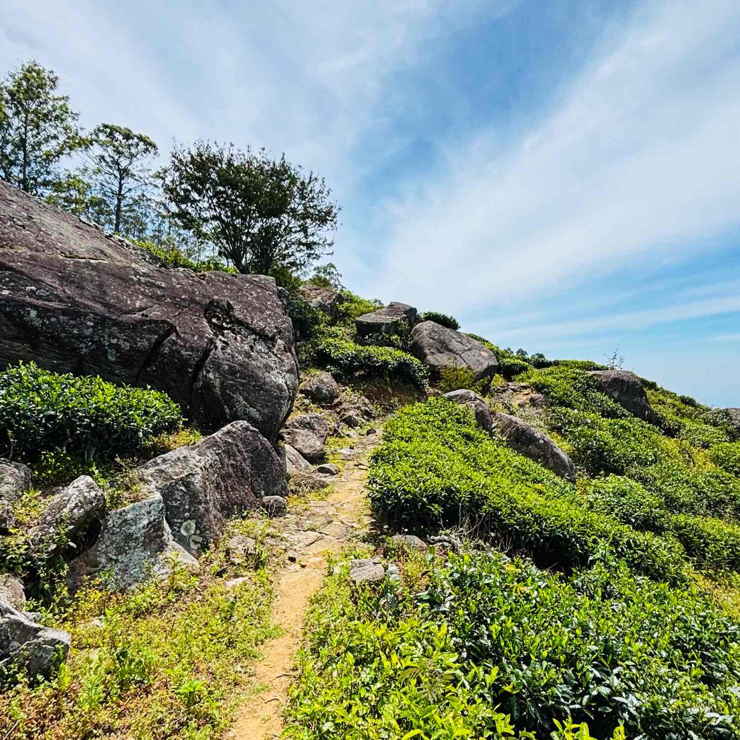 Sri Lanka - Pekoe Trail Pt. 2