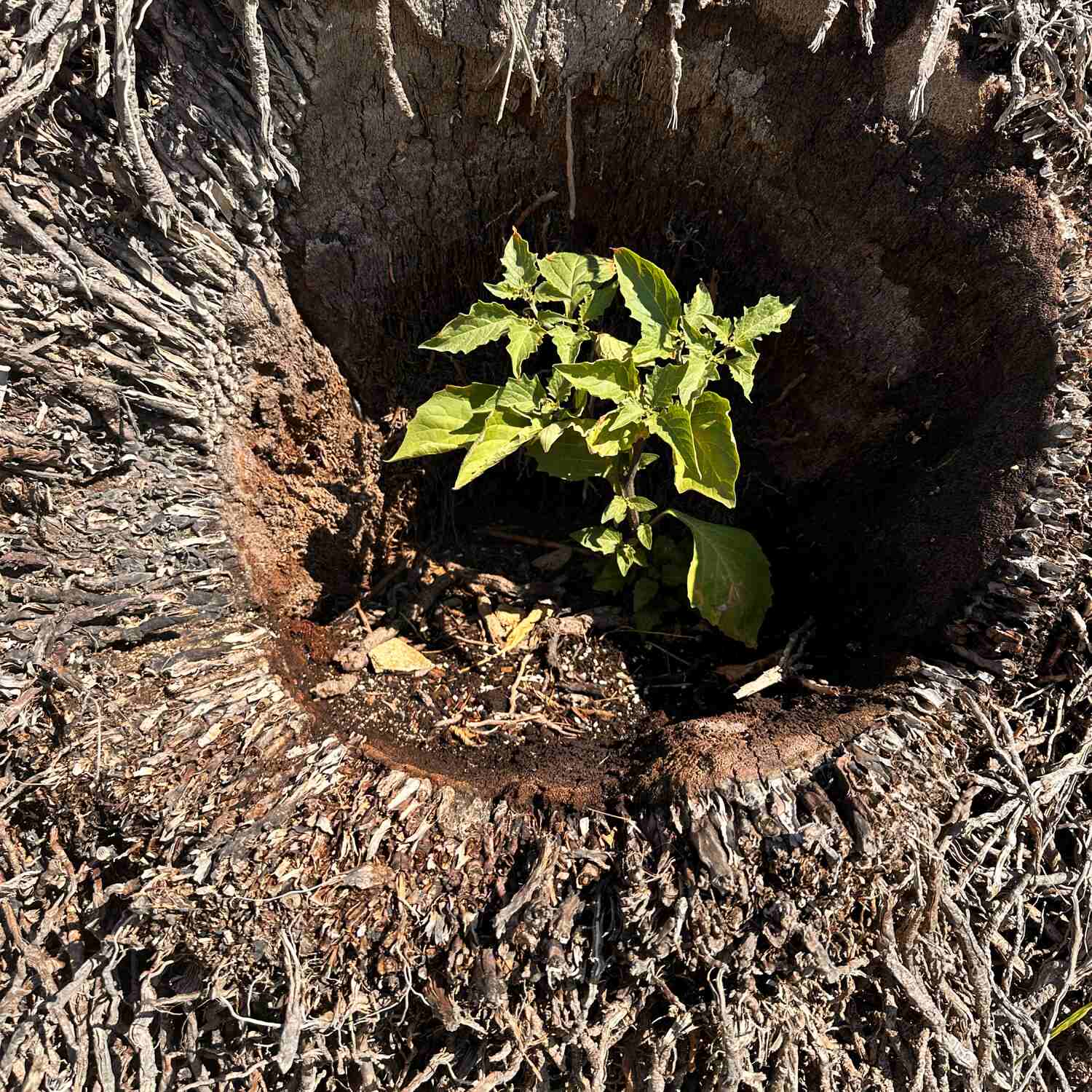 Spanien September 2025